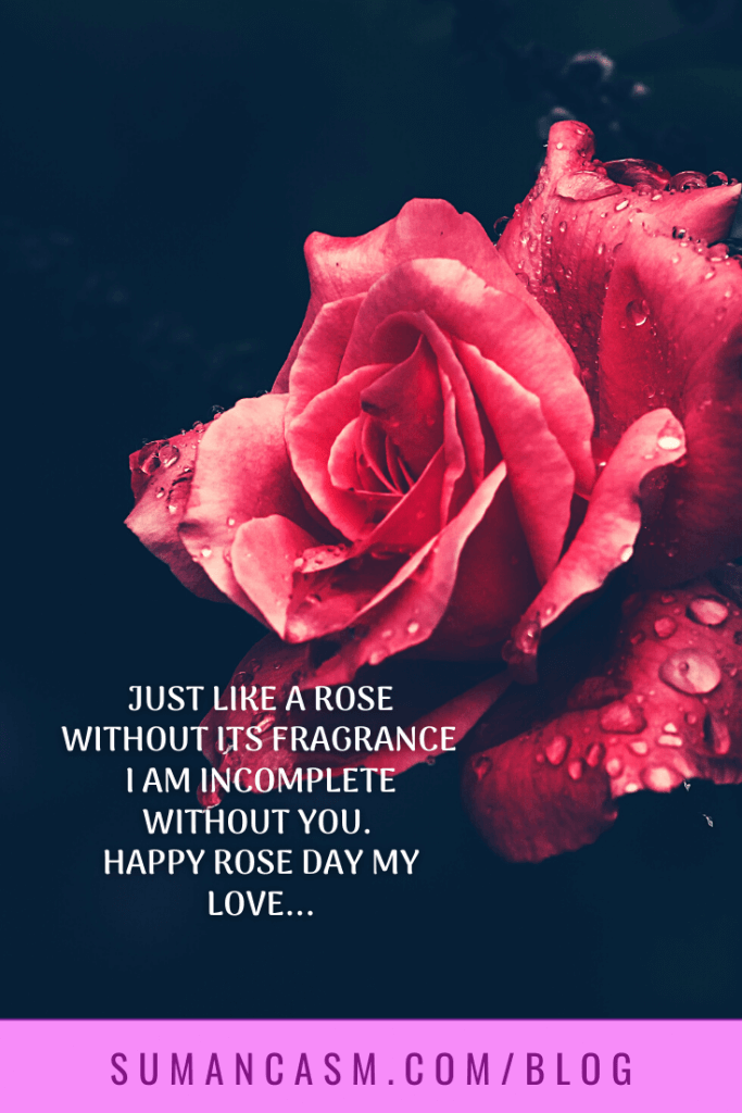 Valentines Day 2021 | Rose Day