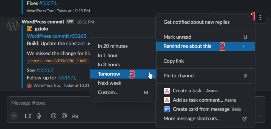 Remind yourself about a message on Slack - Sumancasm